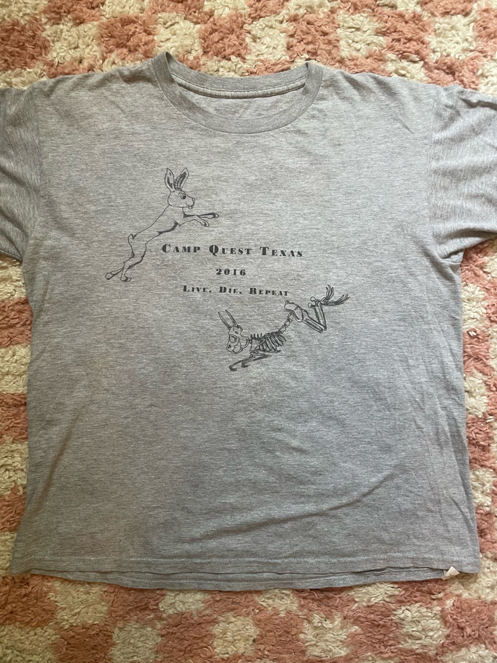 Oddity vintage soft Camp Quest Teams 2016 Gray Graphic tee